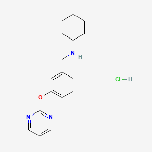 N-[3-(2-pyrimidinyloxy)benzyl]cyclohexanamine hydrochloride