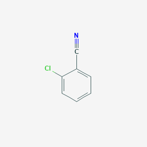 molecular formula C7H4ClN B047944 2-氯苯甲腈 CAS No. 873-32-5