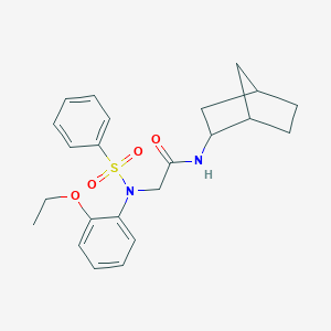 molecular formula C23H28N2O4S B479739 N-bicyclo[2.2.1]hept-2-yl-N~2~-(2-ethoxyphenyl)-N~2~-(phenylsulfonyl)glycinamide 