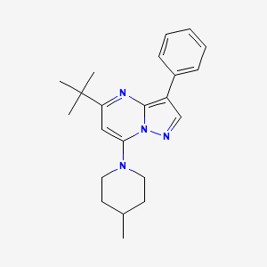 5-Tert-butyl-7-(4-methylpiperidin-1-yl)-3-phenylpyrazolo[1,5-a]pyrimidine