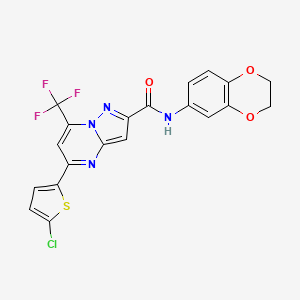 5-(5-CHLORO-2-THIENYL)-N~2~-(2,3-DIHYDRO-1,4-BENZODIOXIN-6-YL)-7-(TRIFLUOROMETHYL)PYRAZOLO[1,5-A]PYRIMIDINE-2-CARBOXAMIDE