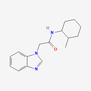 2-(1H-benzimidazol-1-yl)-N-(2-methylcyclohexyl)acetamide