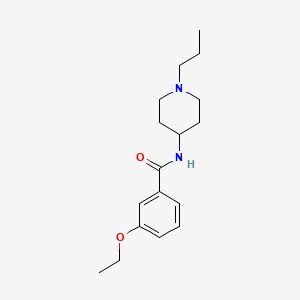 3-ethoxy-N-(1-propylpiperidin-4-yl)benzamide