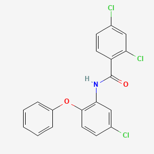 2,4-dichloro-N-(5-chloro-2-phenoxyphenyl)benzamide