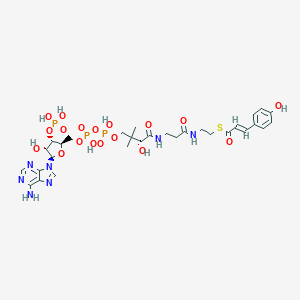 4-coumaroyl-CoA