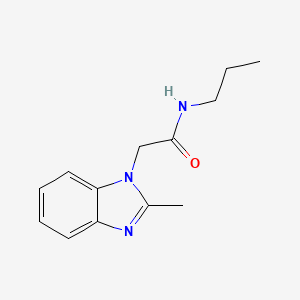 2-(2-METHYL-1H-1,3-BENZODIAZOL-1-YL)-N-PROPYLACETAMIDE