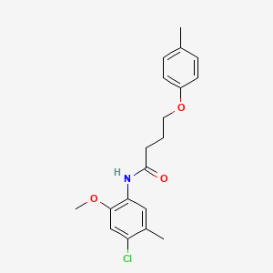 N-(4-chloro-2-methoxy-5-methylphenyl)-4-(4-methylphenoxy)butanamide