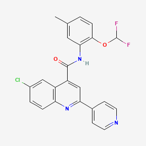 6-chloro-N-[2-(difluoromethoxy)-5-methylphenyl]-2-(4-pyridinyl)-4-quinolinecarboxamide