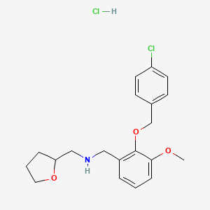 {2-[(4-chlorobenzyl)oxy]-3-methoxybenzyl}(tetrahydro-2-furanylmethyl)amine hydrochloride