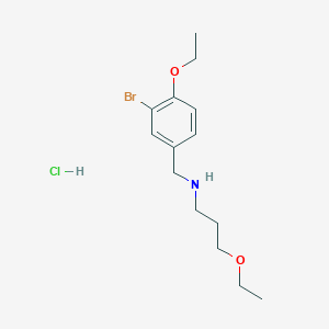 N-(3-bromo-4-ethoxybenzyl)-3-ethoxypropan-1-amine hydrochloride