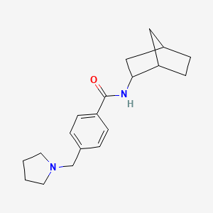 N-bicyclo[2.2.1]hept-2-yl-4-(1-pyrrolidinylmethyl)benzamide