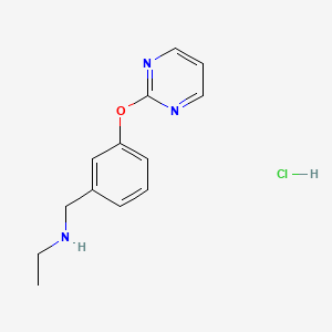 molecular formula C13H16ClN3O B4817698 N-[3-(2-pyrimidinyloxy)benzyl]ethanamine hydrochloride 