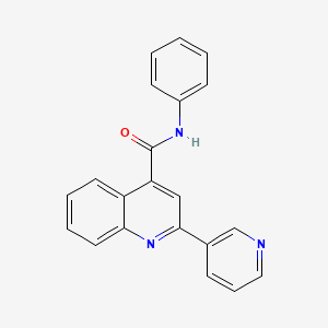 molecular formula C21H15N3O B4818163 N-phenyl-2-(3-pyridinyl)-4-quinolinecarboxamide 
