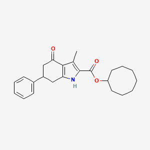 molecular formula C24H29NO3 B4822420 cyclooctyl 3-methyl-4-oxo-6-phenyl-4,5,6,7-tetrahydro-1H-indole-2-carboxylate 