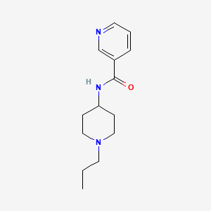 N-(1-propyl-4-piperidinyl)nicotinamide