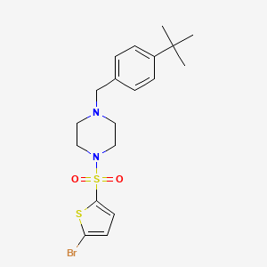 1-[(5-bromo-2-thienyl)sulfonyl]-4-(4-tert-butylbenzyl)piperazine