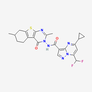 5-CYCLOPROPYL-7-(DIFLUOROMETHYL)-N-[2,7-DIMETHYL-4-OXO-5,6,7,8-TETRAHYDRO[1]BENZOTHIENO[2,3-D]PYRIMIDIN-3(4H)-YL]PYRAZOLO[1,5-A]PYRIMIDINE-3-CARBOXAMIDE