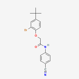 2-(2-bromo-4-tert-butylphenoxy)-N-(4-cyanophenyl)acetamide