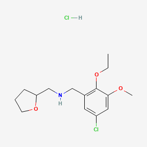 molecular formula C15H23Cl2NO3 B4828035 (5-chloro-2-ethoxy-3-methoxybenzyl)(tetrahydrofuran-2-ylmethyl)amine hydrochloride 