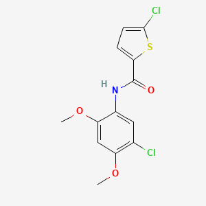 5-chloro-N-(5-chloro-2,4-dimethoxyphenyl)-2-thiophenecarboxamide