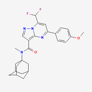 N-(ADAMANTAN-1-YL)-7-(DIFLUOROMETHYL)-5-(4-METHOXYPHENYL)-N-METHYLPYRAZOLO[1,5-A]PYRIMIDINE-3-CARBOXAMIDE