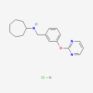 molecular formula C18H24ClN3O B4833219 N-[3-(2-pyrimidinyloxy)benzyl]cycloheptanamine hydrochloride 