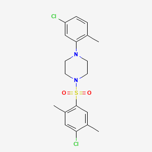 molecular formula C19H22Cl2N2O2S B4836051 1-[(4-chloro-2,5-dimethylphenyl)sulfonyl]-4-(5-chloro-2-methylphenyl)piperazine 