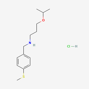 (3-isopropoxypropyl)[4-(methylthio)benzyl]amine hydrochloride