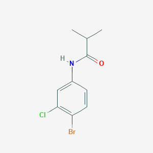 N-(4-bromo-3-chlorophenyl)-2-methylpropanamide