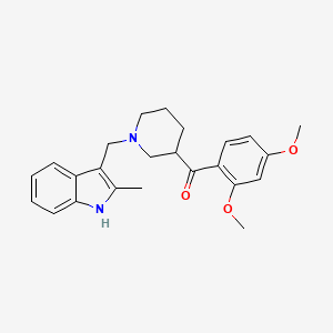 molecular formula C24H28N2O3 B4837591 (2,4-dimethoxyphenyl){1-[(2-methyl-1H-indol-3-yl)methyl]-3-piperidinyl}methanone 