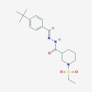 molecular formula C19H29N3O3S B4837642 N'-(4-tert-butylbenzylidene)-1-(ethylsulfonyl)-3-piperidinecarbohydrazide 