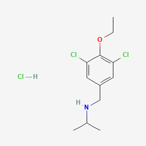 molecular formula C12H18Cl3NO B4839062 N-(3,5-dichloro-4-ethoxybenzyl)propan-2-amine hydrochloride CAS No. 1158746-66-7