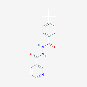 molecular formula C17H19N3O2 B4839222 N'-(4-tert-butylbenzoyl)nicotinohydrazide 