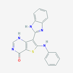 molecular formula C19H13N5OS B483985 6-anilino-7-(1H-benzimidazol-2-yl)thieno[3,2-d]pyrimidin-4(3H)-one CAS No. 496971-05-2