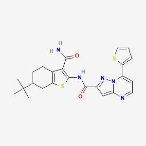 molecular formula C24H25N5O2S2 B4846387 N-[3-(aminocarbonyl)-6-tert-butyl-4,5,6,7-tetrahydro-1-benzothien-2-yl]-7-(2-thienyl)pyrazolo[1,5-a]pyrimidine-2-carboxamide 
