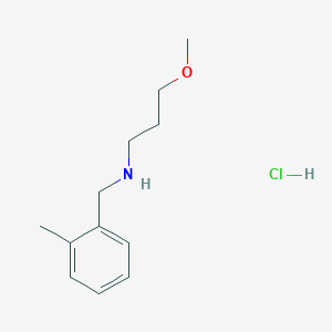 molecular formula C12H20ClNO B4846917 (3-methoxypropyl)(2-methylbenzyl)amine hydrochloride 
