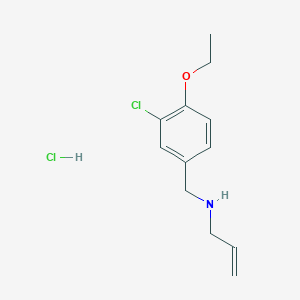 molecular formula C12H17Cl2NO B4848257 N-(3-chloro-4-ethoxybenzyl)prop-2-en-1-amine hydrochloride 