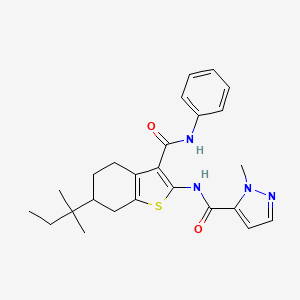 molecular formula C25H30N4O2S B4849269 N-[3-(anilinocarbonyl)-6-(1,1-dimethylpropyl)-4,5,6,7-tetrahydro-1-benzothien-2-yl]-1-methyl-1H-pyrazole-5-carboxamide 