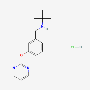 molecular formula C15H20ClN3O B4849583 tert-butyl[3-(2-pyrimidinyloxy)benzyl]amine hydrochloride 