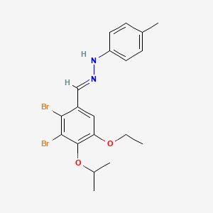 molecular formula C19H22Br2N2O2 B4850358 2,3-dibromo-5-ethoxy-4-isopropoxybenzaldehyde (4-methylphenyl)hydrazone 