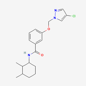 molecular formula C19H24ClN3O2 B4855337 3-[(4-chloro-1H-pyrazol-1-yl)methoxy]-N-(2,3-dimethylcyclohexyl)benzamide 