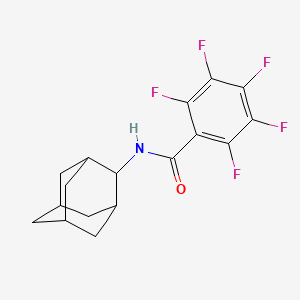 molecular formula C17H16F5NO B4855529 N-2-adamantyl-2,3,4,5,6-pentafluorobenzamide 
