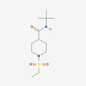 molecular formula C12H24N2O3S B4855608 N-(tert-butyl)-1-(ethylsulfonyl)-4-piperidinecarboxamide 