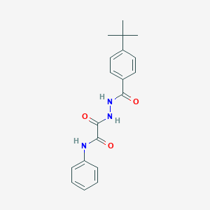 2-[2-(4-tert-butylbenzoyl)hydrazinyl]-2-oxo-N-phenylacetamide