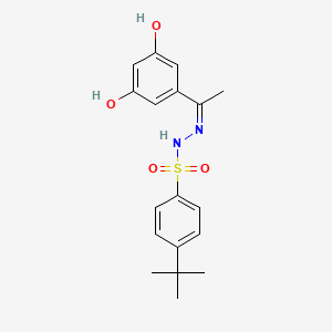 molecular formula C18H22N2O4S B4865682 4-tert-butyl-N'-[1-(3,5-dihydroxyphenyl)ethylidene]benzenesulfonohydrazide 