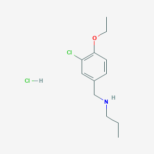 N-(3-chloro-4-ethoxybenzyl)propan-1-amine hydrochloride