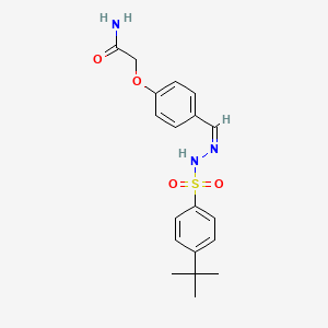 molecular formula C19H23N3O4S B4871748 2-(4-{2-[(4-tert-butylphenyl)sulfonyl]carbonohydrazonoyl}phenoxy)acetamide 