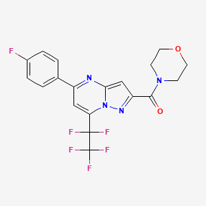 molecular formula C19H14F6N4O2 B4877145 5-(4-fluorophenyl)-2-(4-morpholinylcarbonyl)-7-(pentafluoroethyl)pyrazolo[1,5-a]pyrimidine 