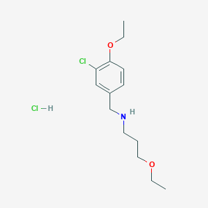 molecular formula C14H23Cl2NO2 B4878666 N-(3-chloro-4-ethoxybenzyl)-3-ethoxypropan-1-amine hydrochloride 