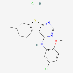 N-(5-chloro-2-methoxyphenyl)-7-methyl-5,6,7,8-tetrahydro[1]benzothieno[2,3-d]pyrimidin-4-amine hydrochloride